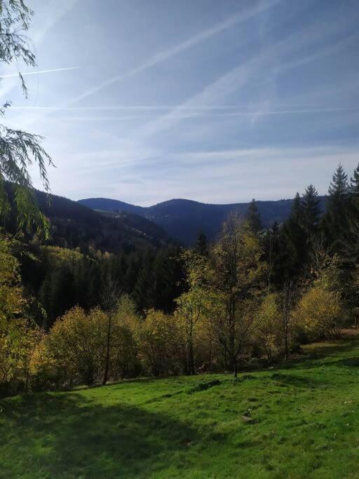 Maison De Montagne Vue Magnifique Ventron